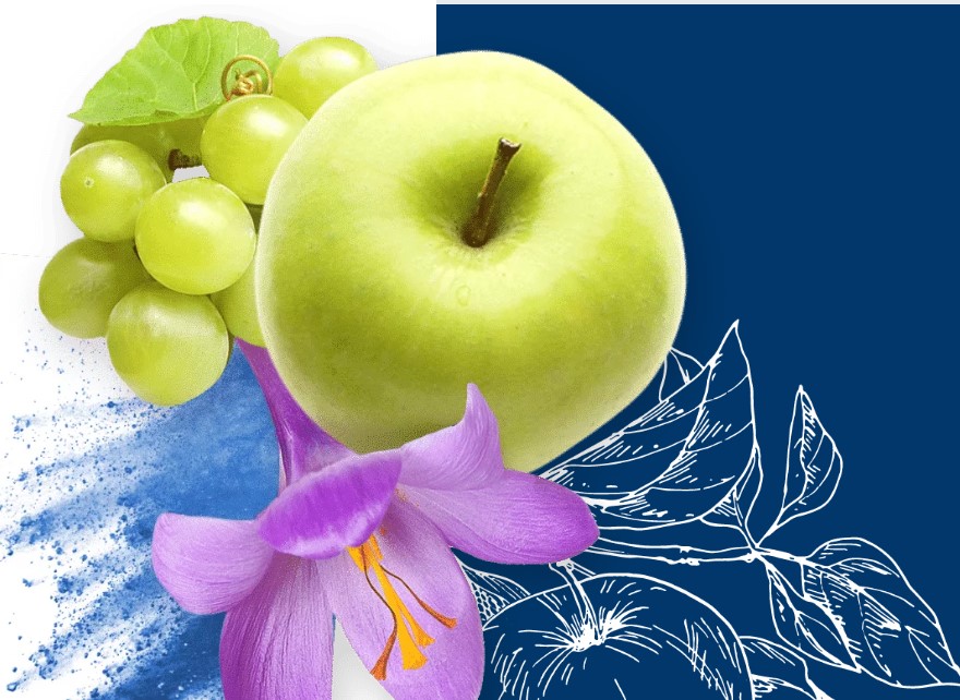 EnoSTIM Formülasyon